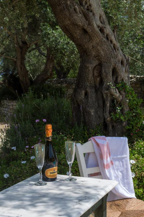 Villa Elaia Suites & Apartments No.5 Gaios Bagian luar foto
