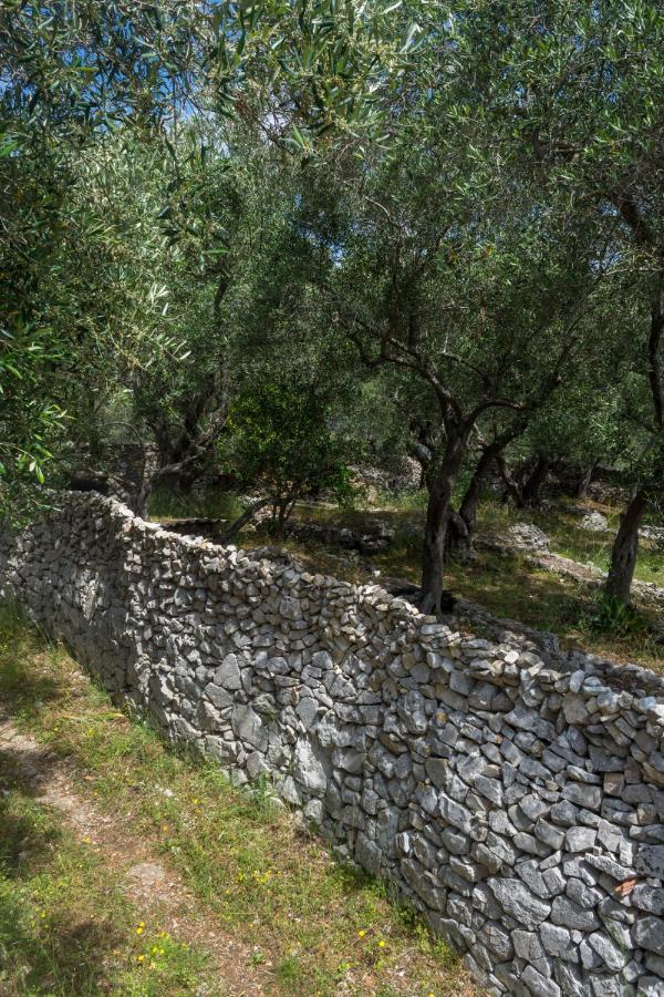 Villa Elaia Suites & Apartments No.5 Gaios Bagian luar foto