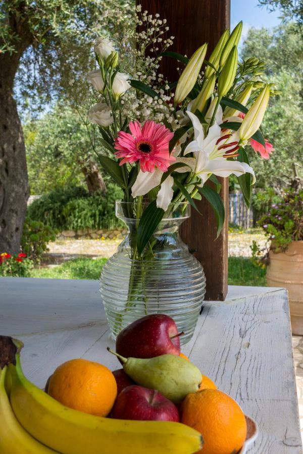 Villa Elaia Suites & Apartments No.5 Gaios Bagian luar foto